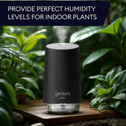 Humidifier Erie 250ML, Black