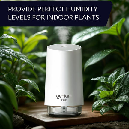 Humidifier Erie 250ML, White