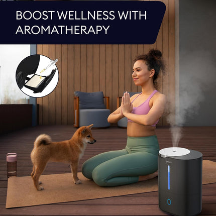 Humidifier Huron 4L, Black