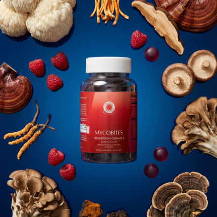 MycoBites Mushroom Gummies
