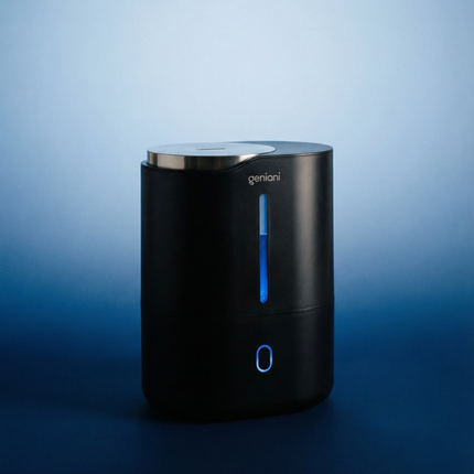 Humidifier Huron 4L, Black