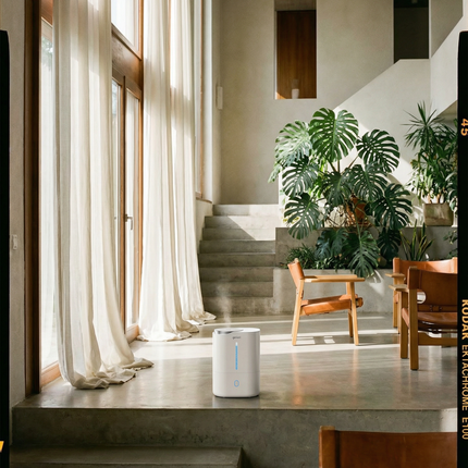 Humidifier Huron 4L, White