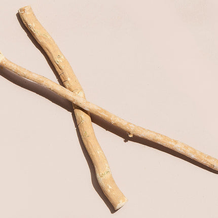 Organic Miswak Twig: Sustainably Sourced from the Arak Tree