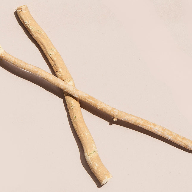 Organic Miswak Twig: Sustainably Sourced from the Arak Tree