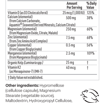 Women's Bone Support