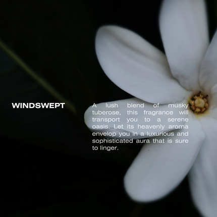 Windswept Eau De Parfum