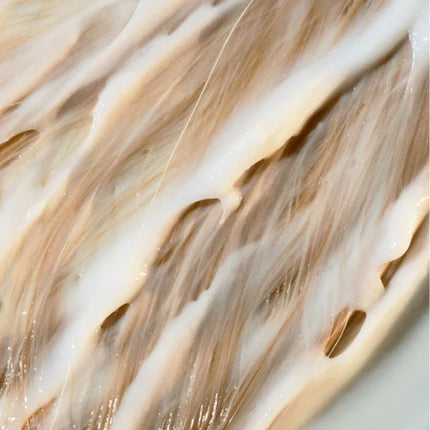 Fresh Conditioner, Citrus Cocktail