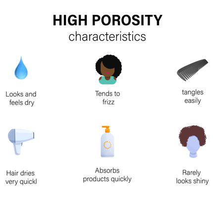 High Porosity Growth & Moisture Beauty Box