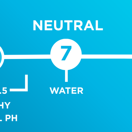 Gentle Foaming Vulva Cleanser