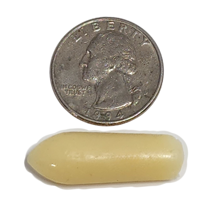 AV Clear - Aerobic Vaginitis Support